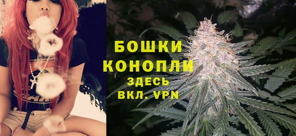 прущая мука Бородино