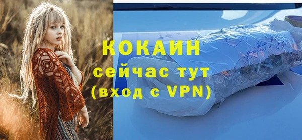твердый Белоозёрский
