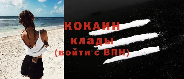 дурь Бронницы