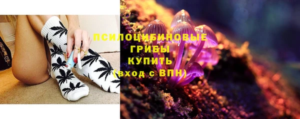 2c-b Беломорск